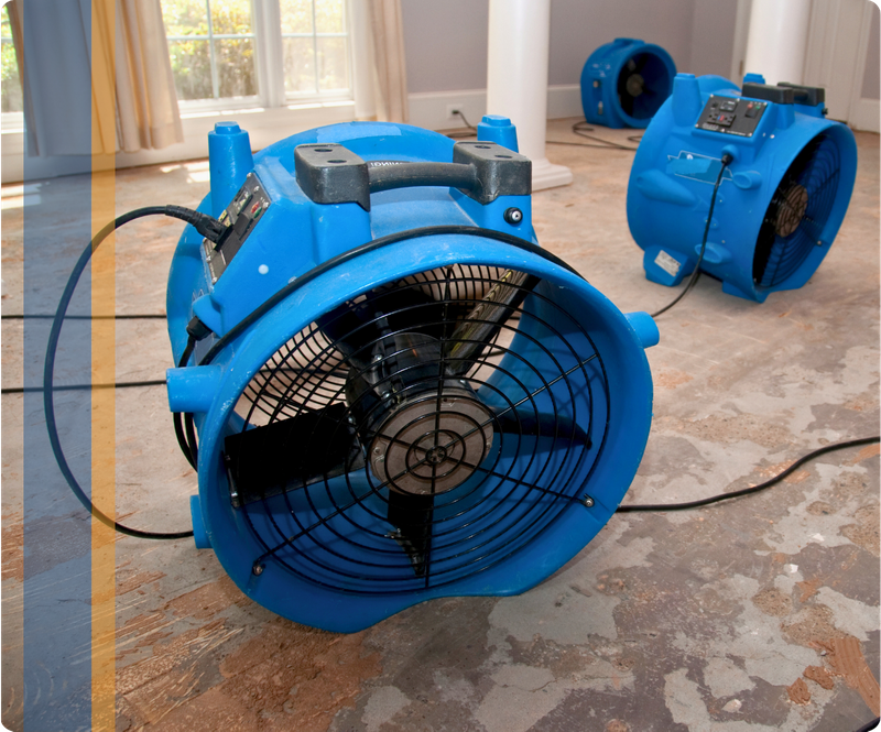 Water Damage - 5050 1.png
